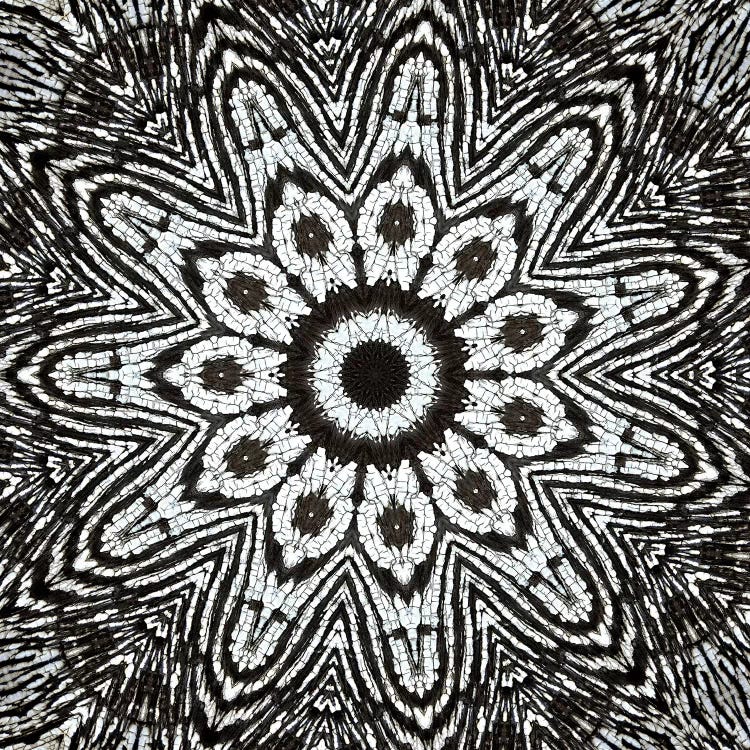 Chikara Mandala IV