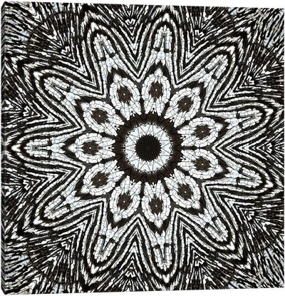 Chikara Mandala IV Canvas Art Print - Mandala Art