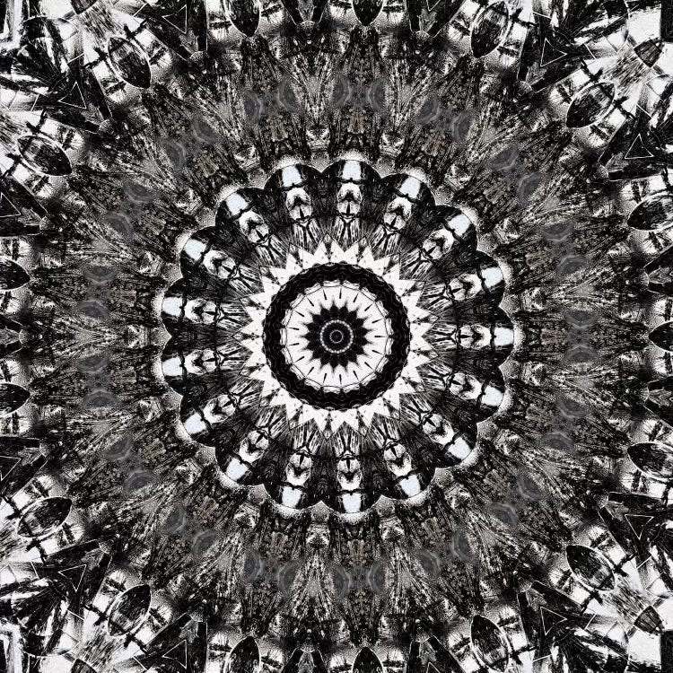 Chikara Mandala VII