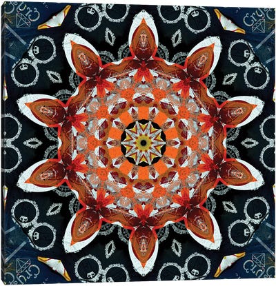 Akai Hi Mandala II Canvas Art Print - Mandala Art