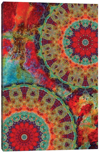 Flair Mandala I Canvas Art Print - Mandala Art
