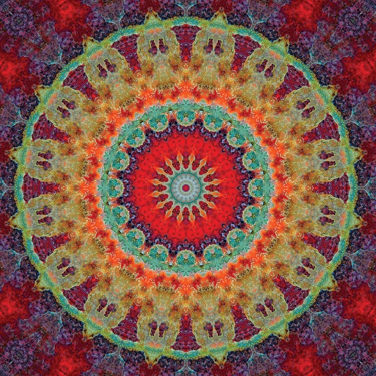 Flair Mandala III