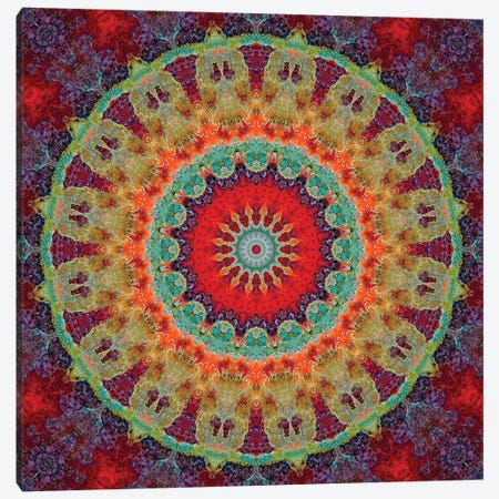 Flair Mandala III Canvas Print #OST36} by LuAnn Ostergaard Canvas Print