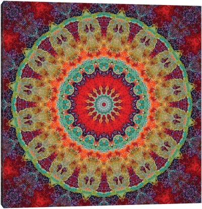 Flair Mandala III Canvas Art Print - LuAnn Ostergaard