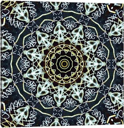 Heddo I Canvas Art Print - Mandala Art