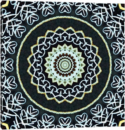 Heddo V Canvas Art Print - Mandala Art