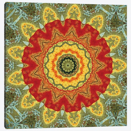 Indo Mandala I Canvas Print #OST52} by LuAnn Ostergaard Canvas Art