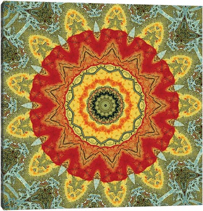 Indo Mandala I Canvas Art Print - LuAnn Ostergaard
