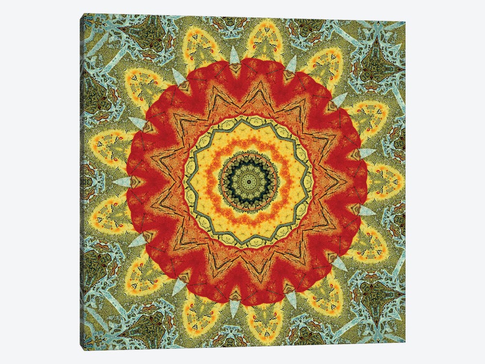 Indo Mandala I by LuAnn Ostergaard 1-piece Canvas Print