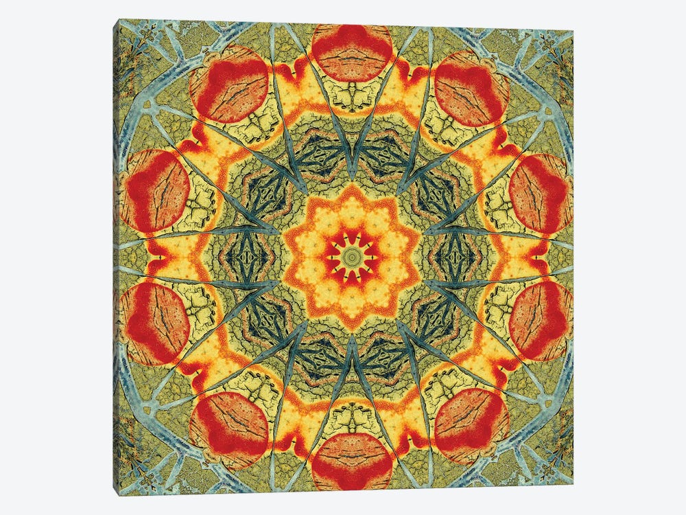 Indo Mandala II by LuAnn Ostergaard 1-piece Canvas Artwork