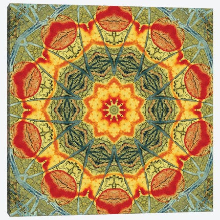 Indo Mandala II Canvas Print #OST53} by LuAnn Ostergaard Canvas Art