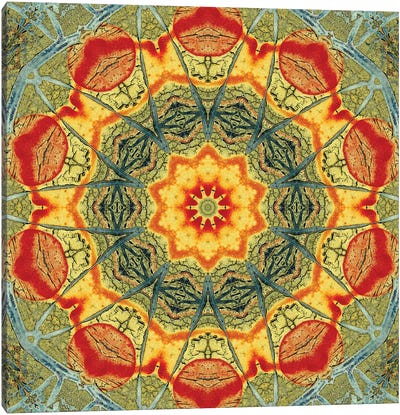 Indo Mandala II Canvas Art Print - LuAnn Ostergaard