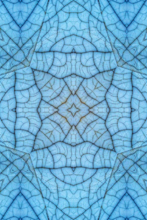 Kori III by LuAnn Ostergaard canvas print