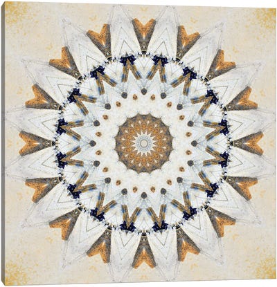 Kurimu Mandala I Canvas Art Print - LuAnn Ostergaard