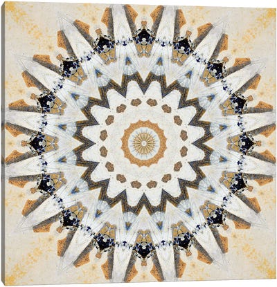 Kurimu Mandala III Canvas Art Print - LuAnn Ostergaard