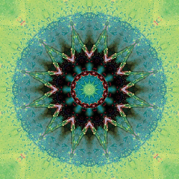 Baio Mandala by LuAnn Ostergaard wall art