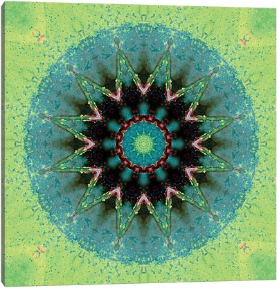 Baio Mandala Canvas Art Print - Mandala Art