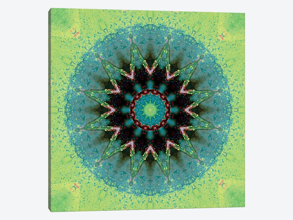 Baio Mandala by LuAnn Ostergaard 1-piece Canvas Print