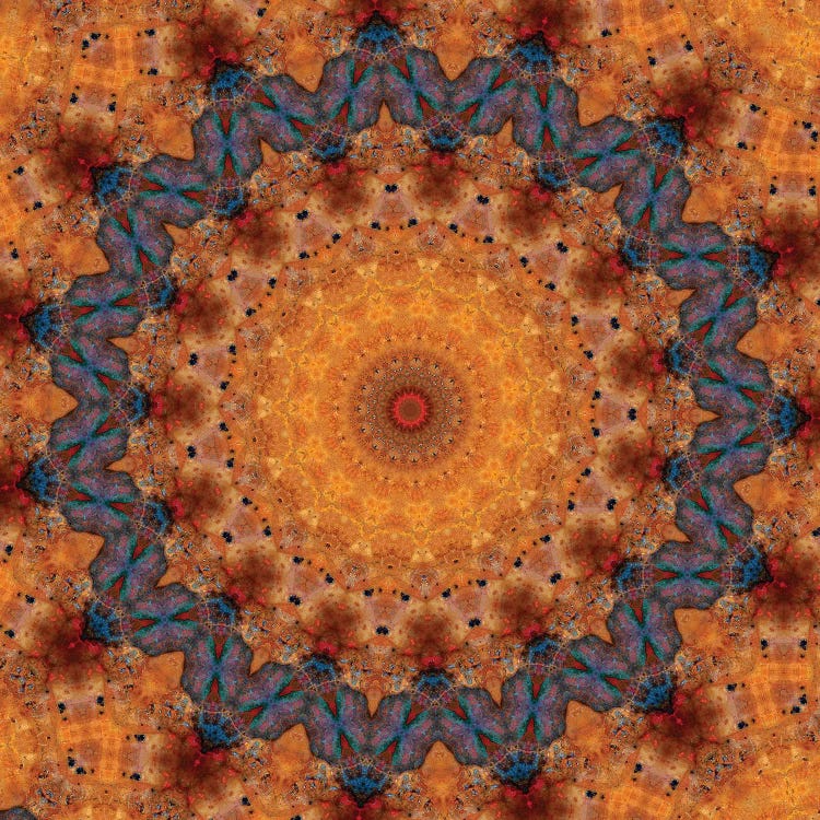 Momo Mandala by LuAnn Ostergaard wall art