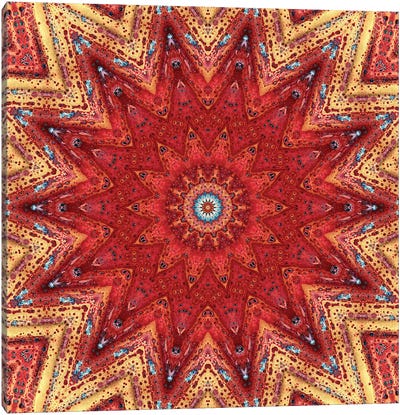 Nansei Mandala I Canvas Art Print - Mandala Art
