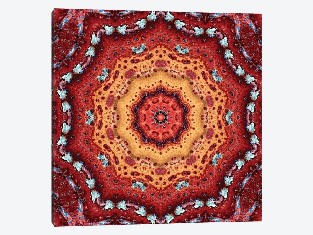 Nansei Mandala II by LuAnn Ostergaard 1-piece Canvas Artwork