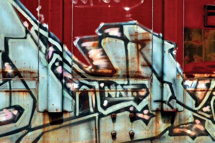 Nat by LuAnn Ostergaard wall art