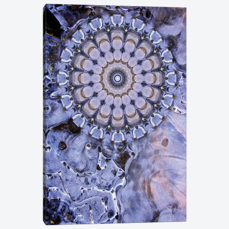 Caligo Mandala Canvas Print #OST8} by LuAnn Ostergaard Canvas Art Print