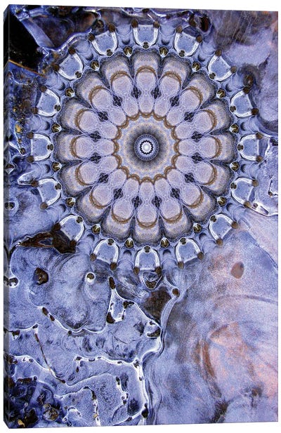 Caligo Mandala Canvas Art Print - Purple Abstract Art