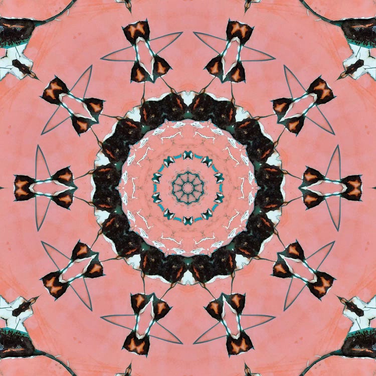 Samon Mandala I