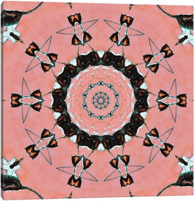 Samon Mandala I Canvas Art Print - LuAnn Ostergaard