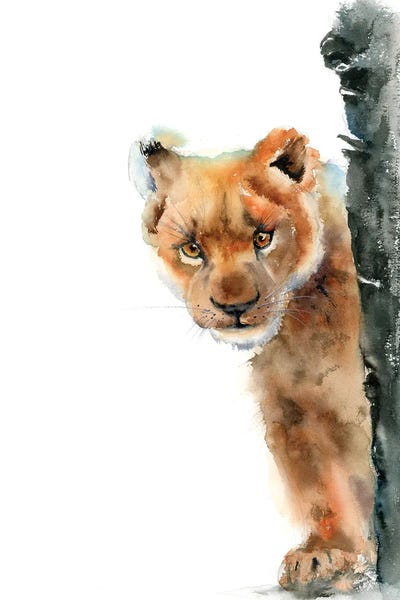 Baby Leo by Olga Tchefranov canvas print