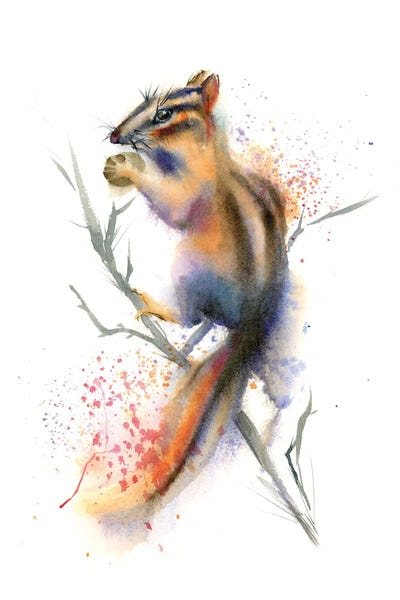 Chipmunks: Chipmunk On The Branch by Olga Tchefranov