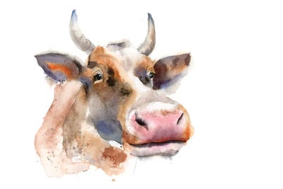 Cow II by Olga Tchefranov framed wall art