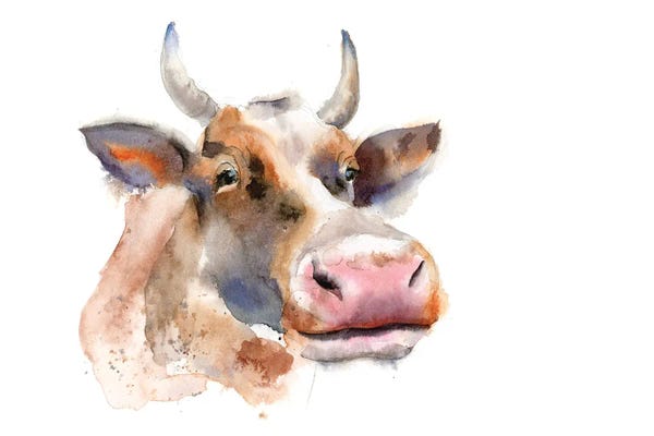 Fine Art Print: Cow II by Olga Tchefranov