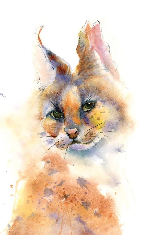 Wild Cat by Olga Tchefranov wall art