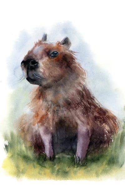 Rodents: Capybara II by Olga Tchefranov