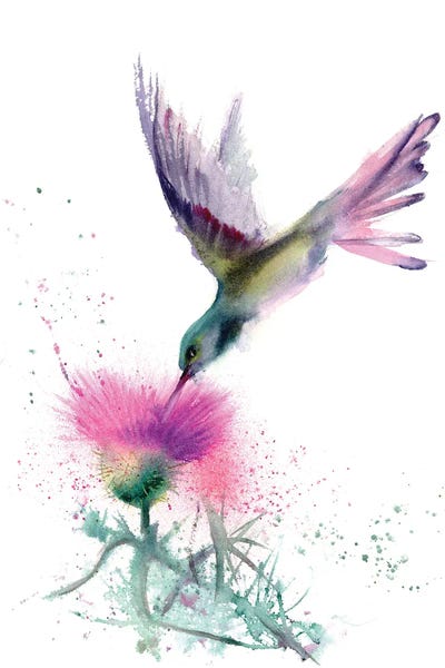 Hummingbirds: Hummingbird And Thistle by Olga Tchefranov