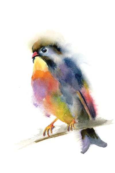 Nightingale by Olga Tchefranov framed wall art