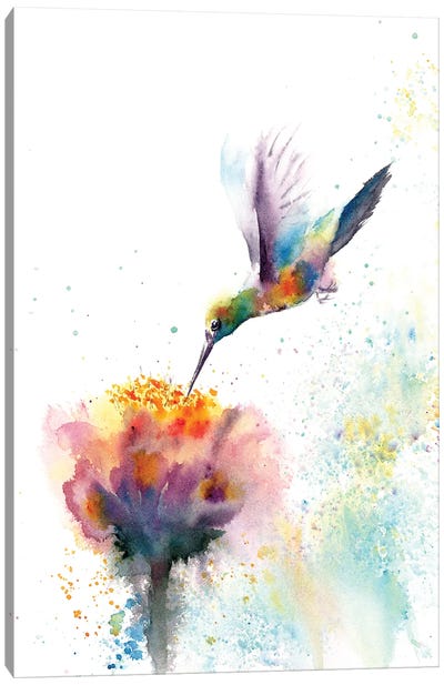 Hummingbird Canvas Art Print - Olga Tchefranov