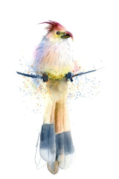 Tropical Bird by Olga Tchefranov art print