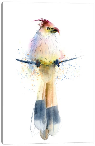 Tropical Bird Canvas Art Print - Olga Tchefranov