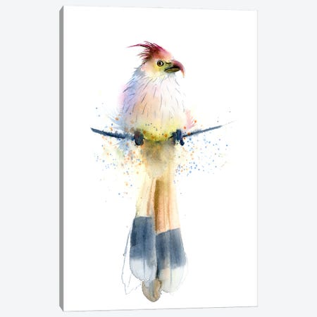 Tropical Bird Canvas Print #OTF13} by Olga Tchefranov Canvas Art Print