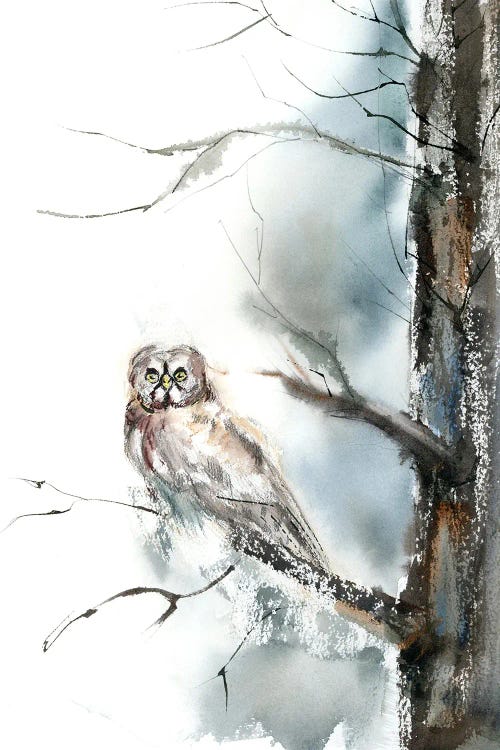 Owl And Tree by Olga Tchefranov wall art