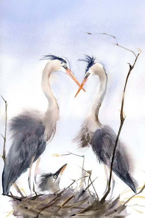 Heron's Family II by Olga Tchefranov wall art