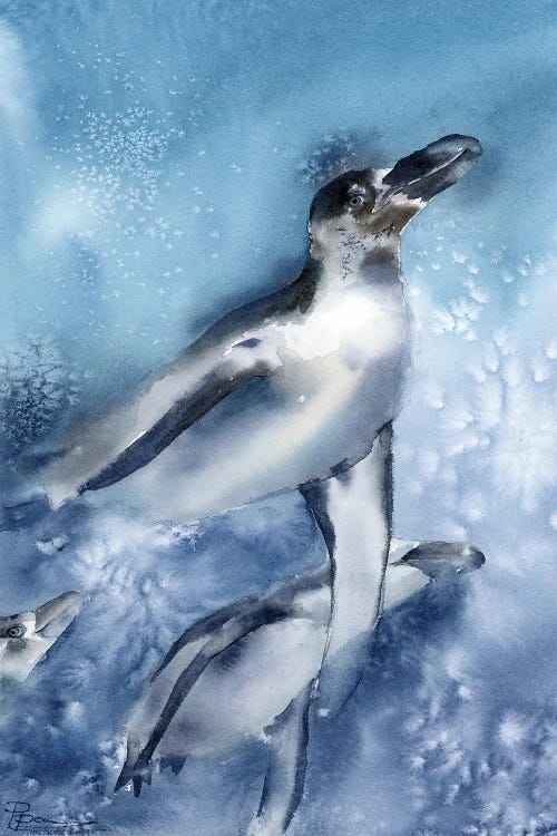 Penguins Underwater by Olga Tchefranov wall art