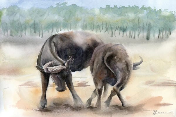 Bulls: Clash Of Titans by Olga Tchefranov