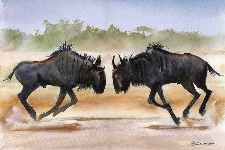 Clash Of The Wildebeests by Olga Tchefranov wall art