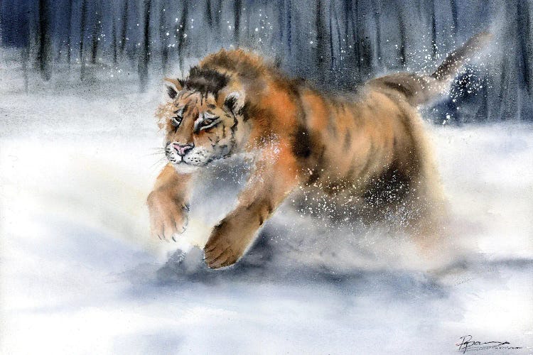 Tiger In Snow by Olga Tchefranov wall art