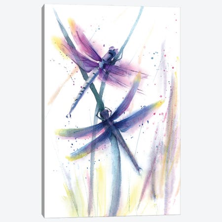 Dragonflies Canvas Print #OTF14} by Olga Tchefranov Canvas Art