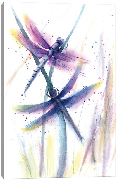 Dragonflies Canvas Art Print - Olga Tchefranov